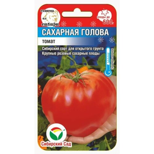 ������ ������ ������ ����� �������� ������ 20�� ��� (��������� ���) ����