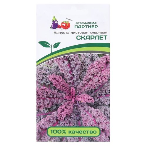 ������ ������ ������ ��������� ������� ������� �������� �������� �������, 0,3 � ����