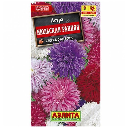 ������ ������ ����� 