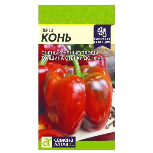 ������ ������ ������ ����� ������� ����(10���) ����