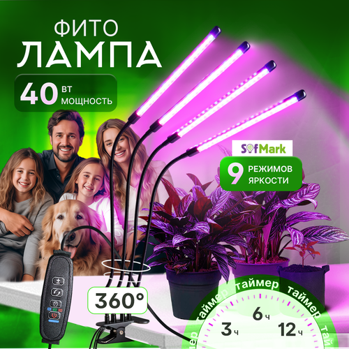 ������ ������ ��������� ��� �������� � ������� �� ��������, � �������� ����