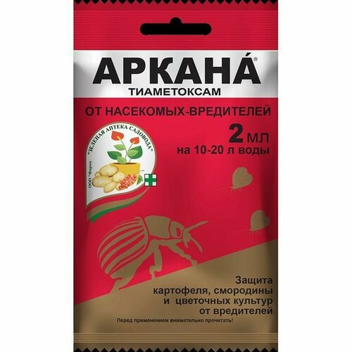 ������ ������ ������ 2�� �� ��������� ���������� ����