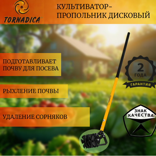 ������ ������ ����������� ��������� �������� � �������� ��������� / ������� ������ ����������� ���������� ������� ����