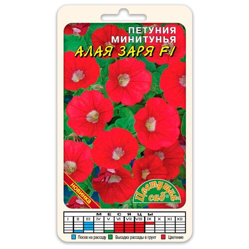 ������ ������ ����� ������� ��������� ���� ���� F1 (������ �������� ��� 10 ��. � ������) ����