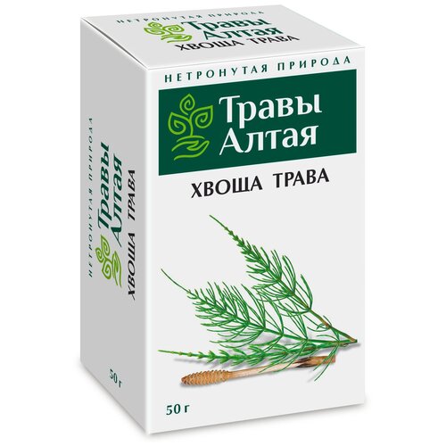 ������ ������ ����� �������� ����� ����� ����� 50 � x1 ����