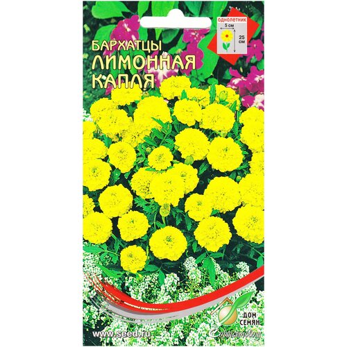 ������ ������ �������� (������� �����������) �������� �����, 90 ����� ����