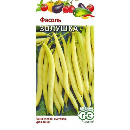 ������ ������ ������ ������ ������� 5� ������ (������) ����