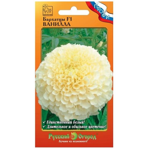 ������ ������ ������. �����. �������� F1 