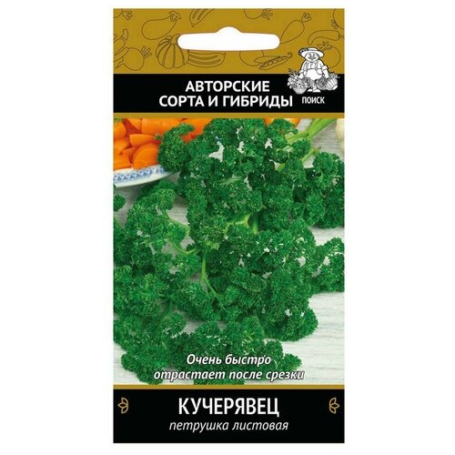 ������ ������ ������ ����� �������� ��������� 3 � ����