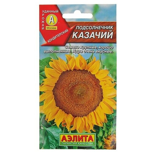 ������ ������ ������ ������������ 