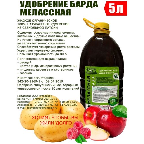 ������ ������ ����� ���������, 5� (������ ���������) ����