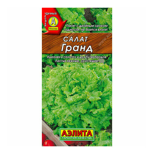 ������ ������ ������ ����� ����� ������� �������� 0,5� ������ (������) ����