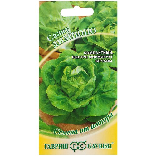 ������ ������ ������ ����� ���� ������� ����