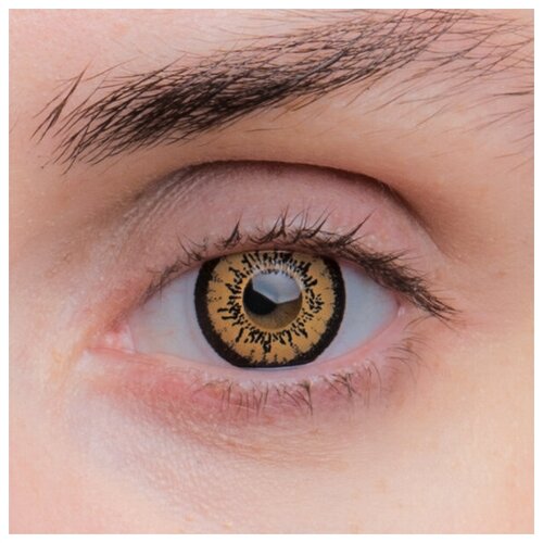 ������ ������ ���������� ����� EOS P-con D 14.2, 2 ��., R 8,7, D 0, 209LB Brown, 1 ��. ����