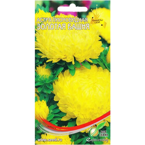 ������ ������ ����� ����������� ������� �����, 85 ����� ����