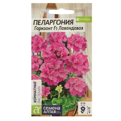 ������ ������ ������ ����� ������ ������ 