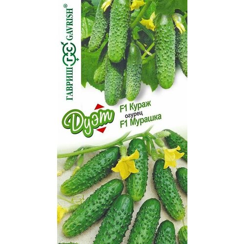 ������ ������ ������ ����� F1+������� F1 20 ��. ����