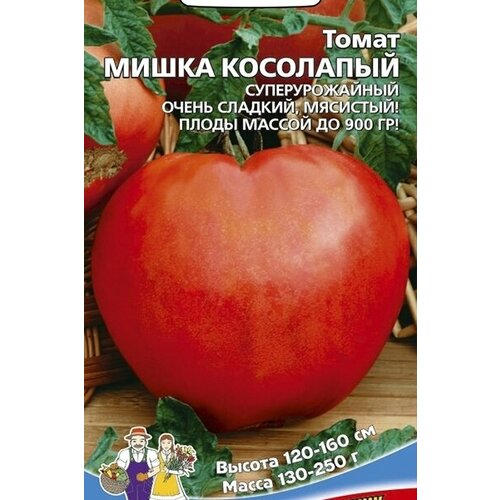 ������ ������ ������ ����� ����� ��������� (���) �/� �/� ����