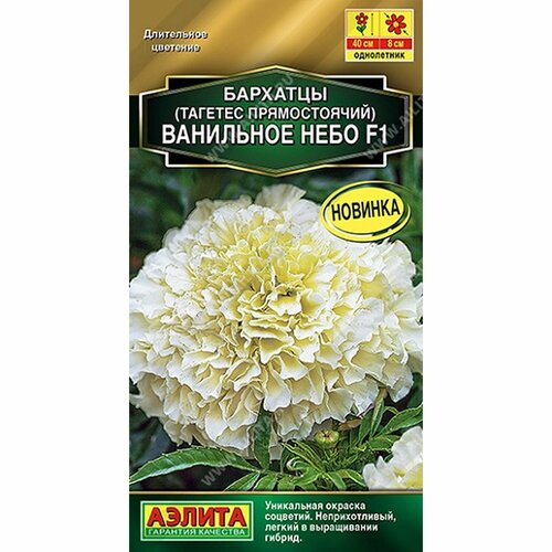 ������ ������ ������ �������� ��������� ���� F1 ��������, ����������, (������) 7�� ������� ����� ����