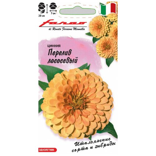 ������ ������ ������. ������ 