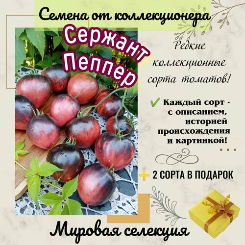 ������ ������ ����� 