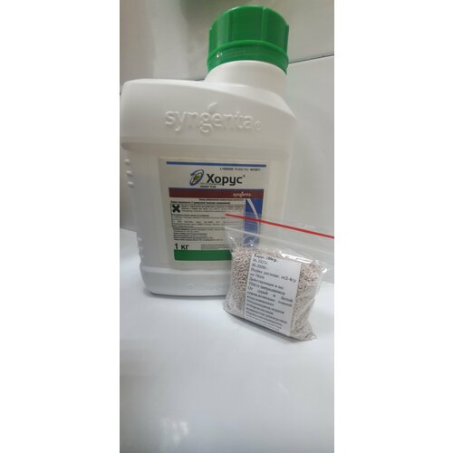 ������ ������ ����� 100��(������ �������) ����