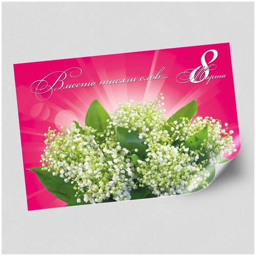 ������ ������ ����������/������ �������������� �� 8 �����, ������ �-2 (60x42 ��.) ����