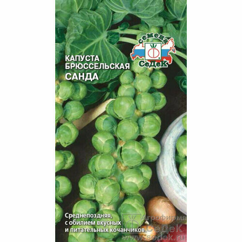 ������ ������ ������ ������� ������������ ����� 0,3 � (�����) ����