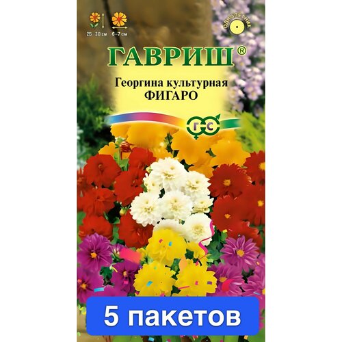 ������ ������ ����� �������� ������ 5 ������� ����