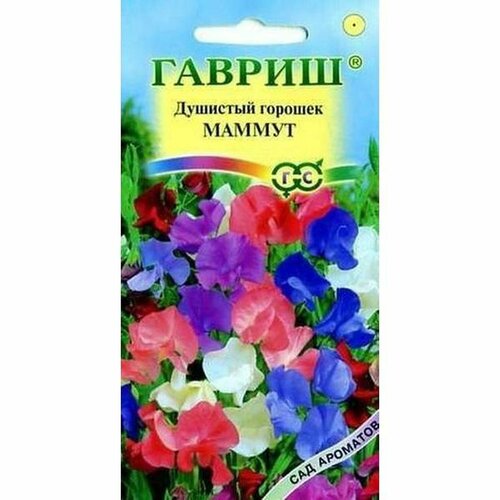 ������ ������ ������ �������� ������� ������, ����� (����������) (������) 0,5� ��� �������� ����