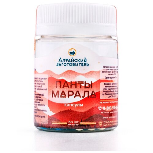 ������ ������ ����� ������ ���������� - �������� ���������� � �������� - ����� ����������� ��������� �� ����� ������ - ���������� ��������, 60 �� ����