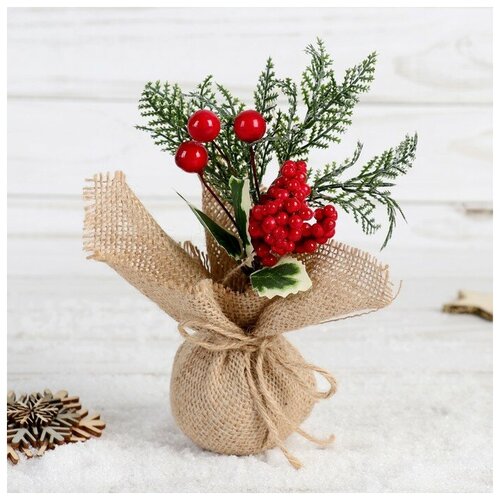 ������ ������ ����� 