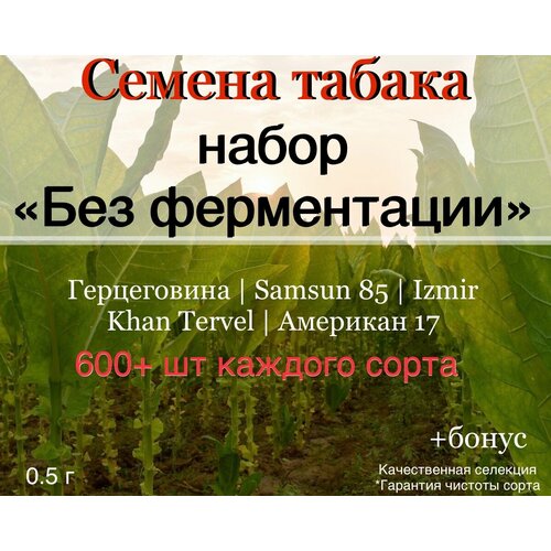 ������ ������ ������ ������ ����� 