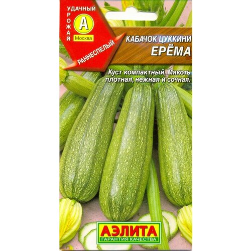 ������ ������ ������ ������� ����� ������� 1� ������ (������) ����