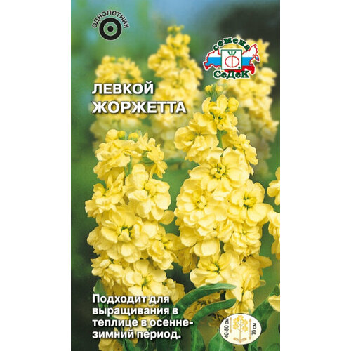 ������ ������ ������ �������� (�������� �����, ������) 0,1�. (�����) ����