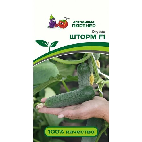 ������ ������ ������ ������ ��������� ������� 