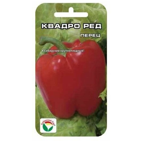 ������ ������ ����� ������� ������ ��� 15�� ����� ��������� ��� ����