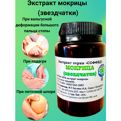 ������ ������ �������� ������� (����������) �� ������� 100�, ������ ����