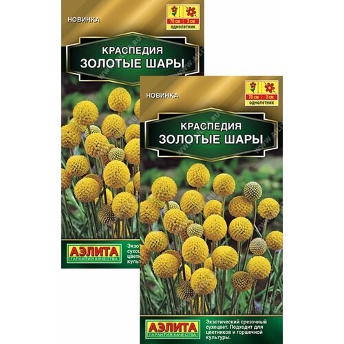 ������ ������ ��������� ������� ���� (0,05 �), 2 ������ ����