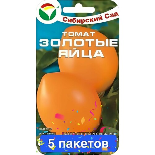 ������ ������ ������ ������ ��������� ��� 