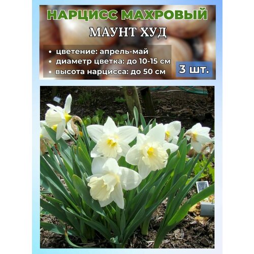 ������ ������ ������� ��������. �������� 3 ����� ����