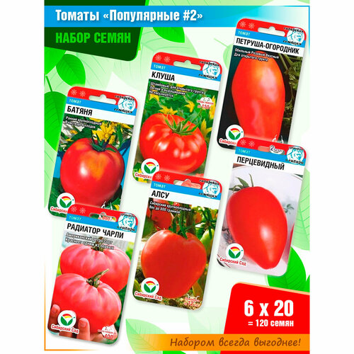 ������ ������ ����� ����� 