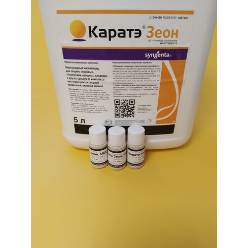 ������ ������ ���������� ������ ���� �� ���������-���������� 3 �� �� 10 �� ����