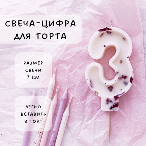 ������ ������ ����� ��� ����� ����� 3, ������ ������, 1�� ����