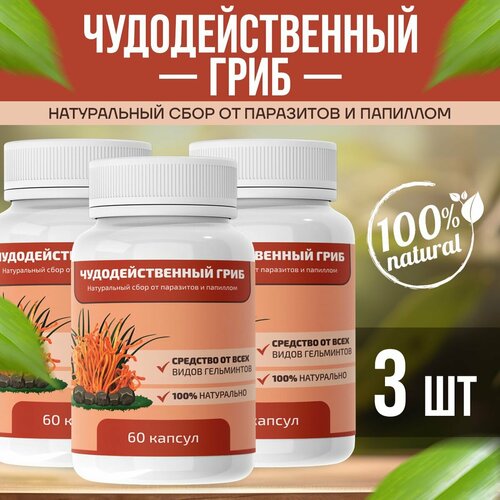 ������ ������ ��������������� ���� ���� �� ��������� � �������� ����