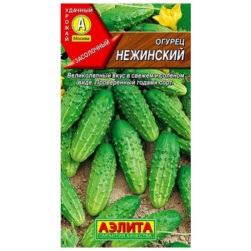 ������ ������ ������. ������ 