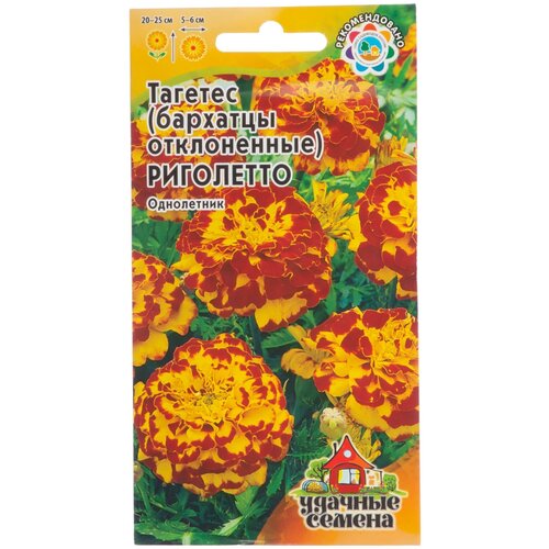 ������ ������ ������ ������ ������� ������ �������� ����������� ��������� (�������) 0,3 � ����