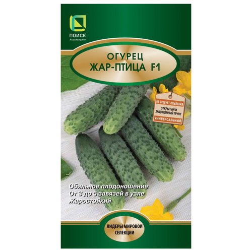 ������ ������ ������ ������ ���-����� F1 12 ��. ����