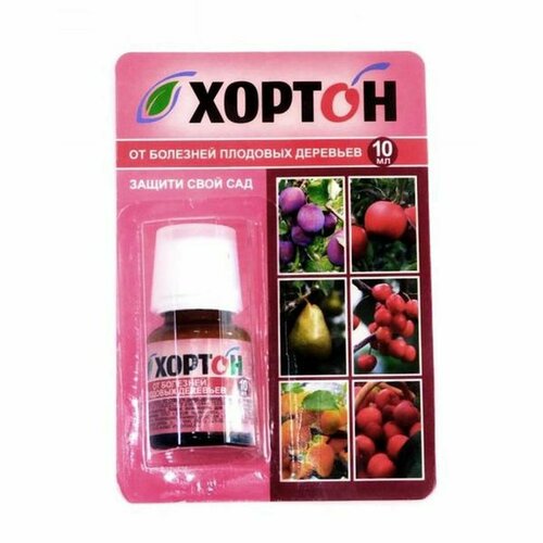 ������ ������ ������, �� �������� �������� �������� 10�� (���� ���������) ����