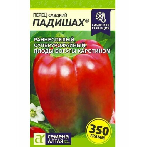 ������ ������ ������ ����� �������, ������ ����� ����